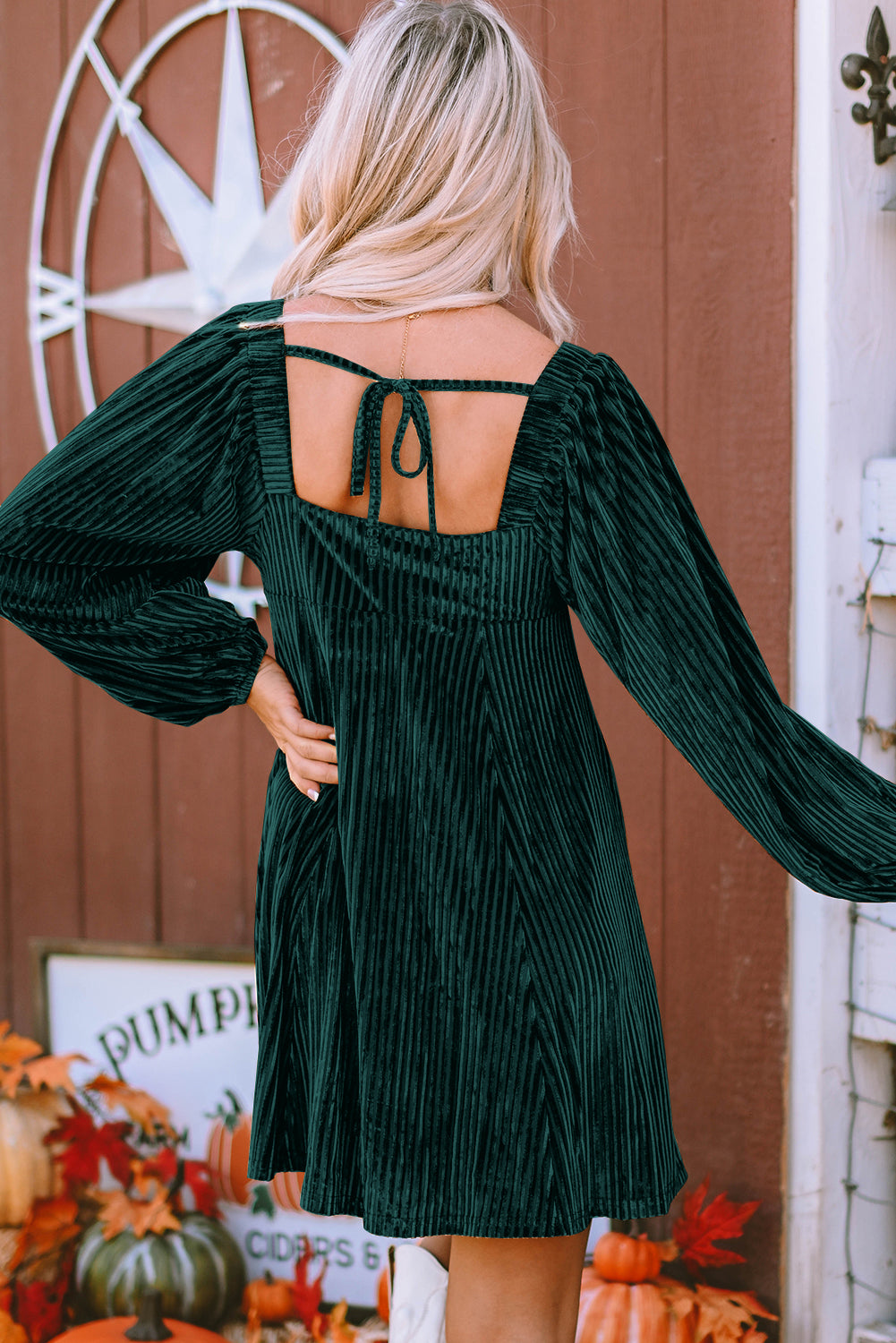 Pale Chestnut Long Sleeve Tiered Ribbed Velvet Dress